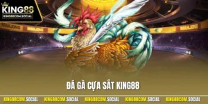 Đá Gà Cựa Sắt KING88 – Trải Nghiệm Đặt Cược Thú Vị 2025