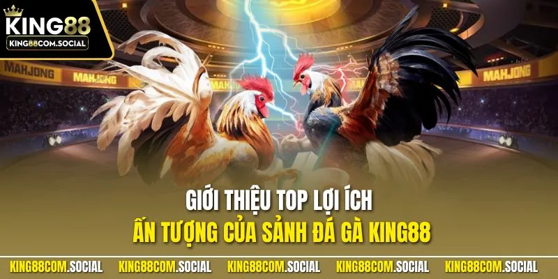 Giới thiệu top lợi ích ấn tượng của sảnh đá gà KING88