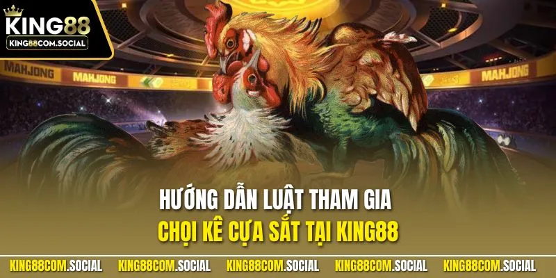 Hướng dẫn luật tham gia chọi kê cựa sắt tại KING88