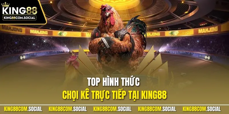 Top hình thức chọi kê trực tiếp tại KING88